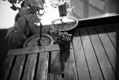 ズマロン2.8 試写、モノクロ現像