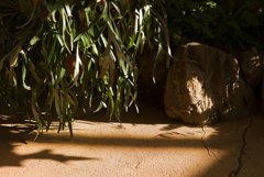 ズミクロン固定の作例　開放