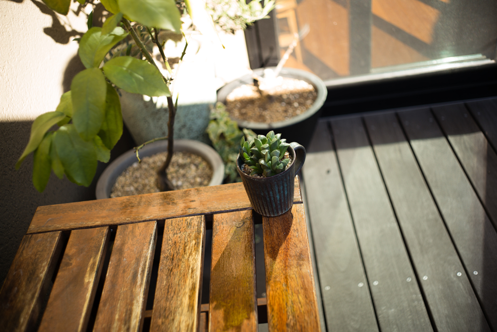 ズマロン2.8 試写