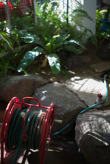 ズミクロン固定の作例　開放