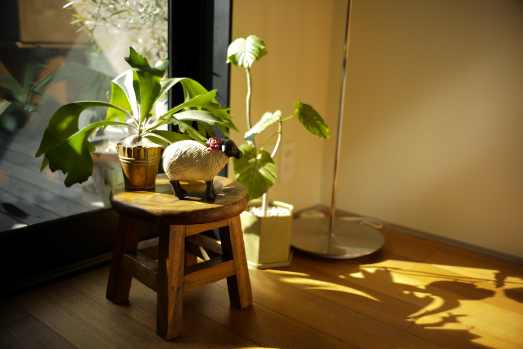 ズミルックス 1st f2