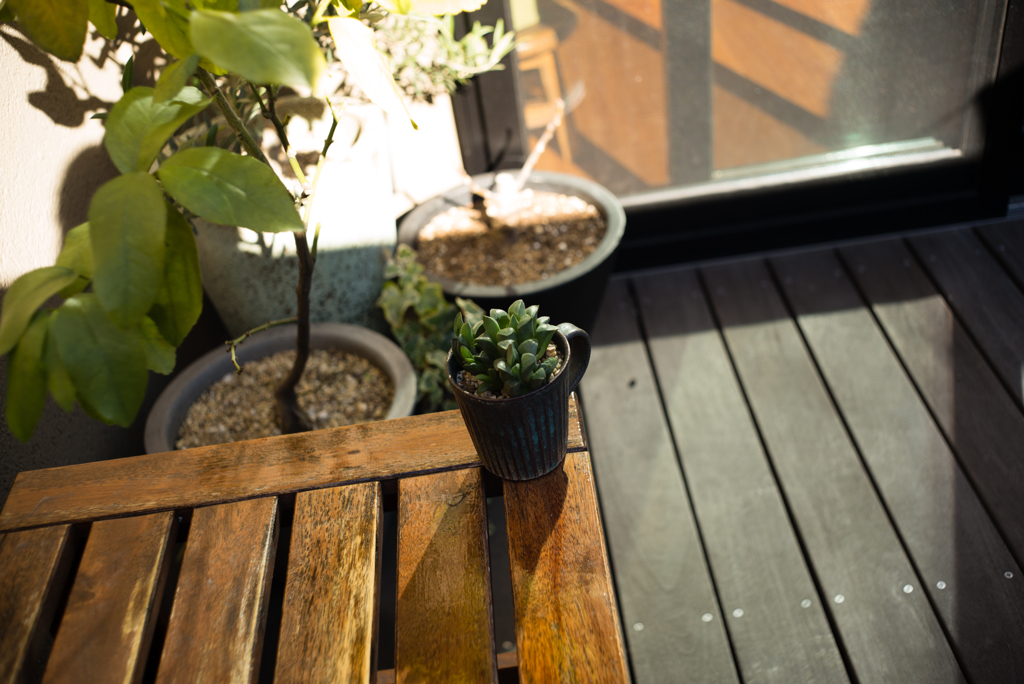 ズマロン2.8 試写