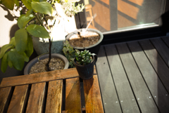 ズマロン2.8 試写