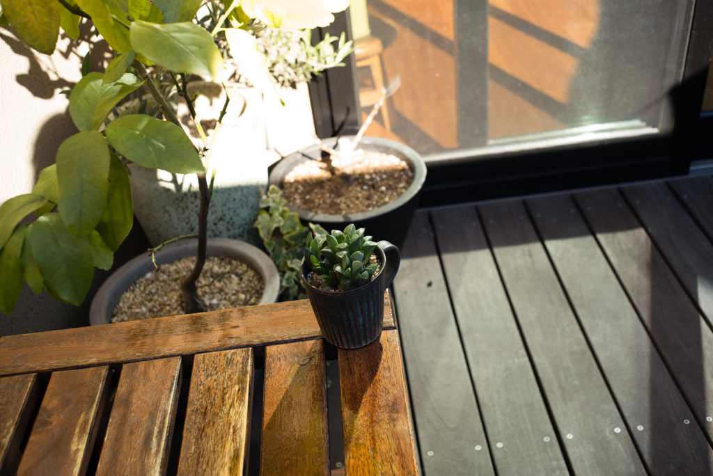 ズマロン2.8 試写