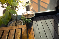 ズマロン2.8 試写