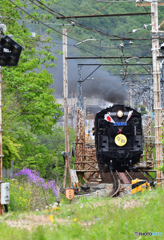 秩父鉄道パレオエクスプレス「おめでとう令和号」