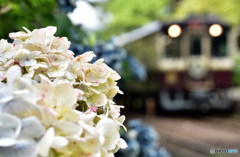 わたらせ渓谷鉄道