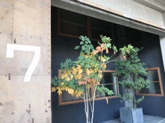 U2 7