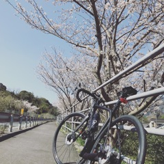 平穏だった春ライド
