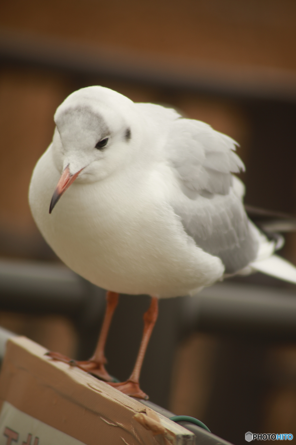 視線の先には･･･