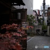 神楽坂の路地裏