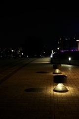 夜の歩道