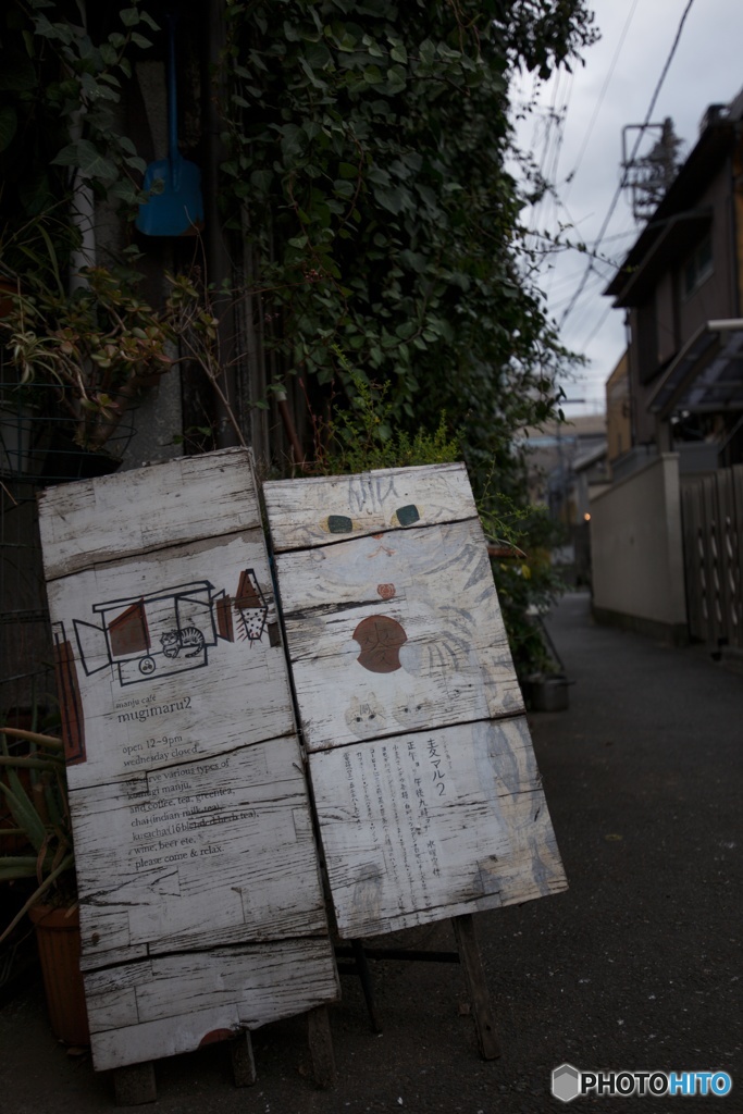 猫看板
