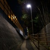 夜散歩