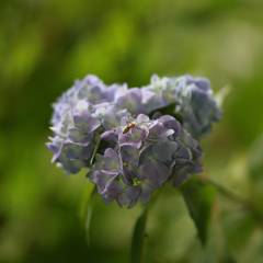 IMG_20170610_231426_470