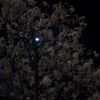 _I8P3148-01