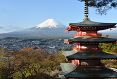 富士山が見える