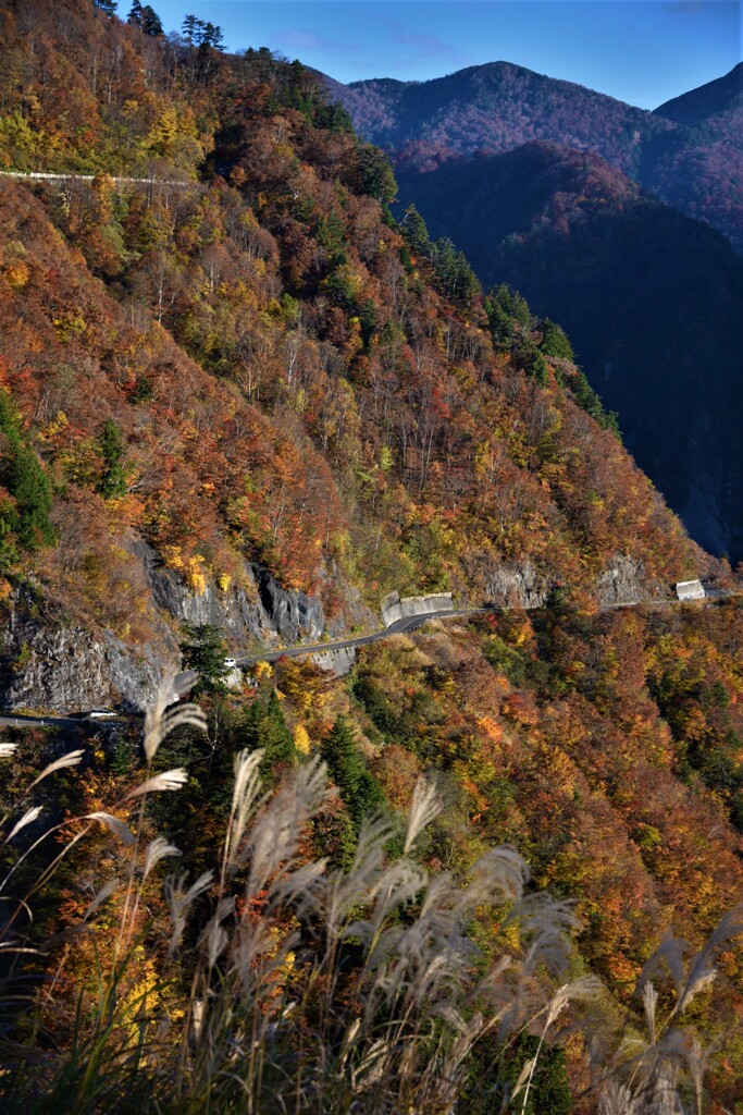 白山白川郷ホワイトロード