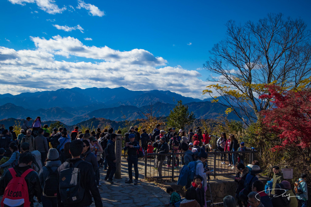 高尾山 2017