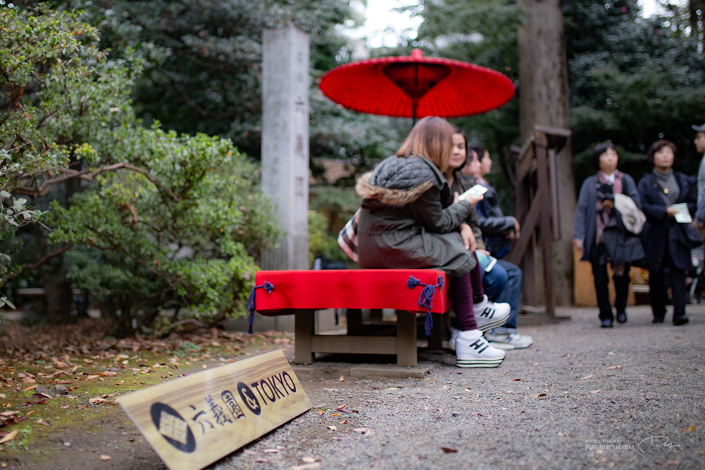 六義園 紅葉カメラ