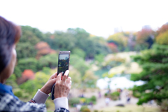 六義園 紅葉カメラ