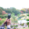 六義園 紅葉カメラ