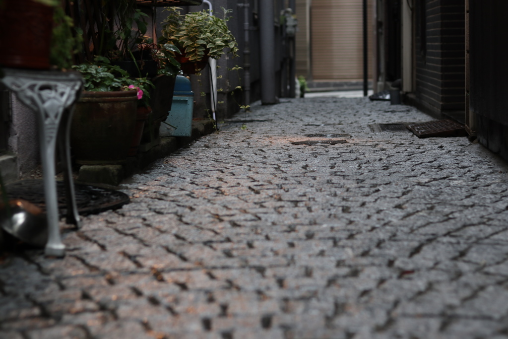 神楽坂の石畳