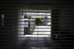 カールツァイスで撮る