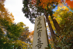 高尾山2017
