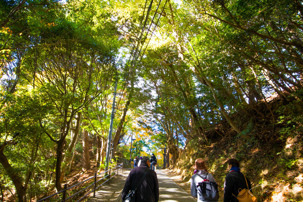高尾山2017