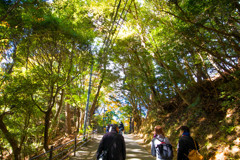 高尾山2017