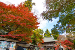 高尾山 2017