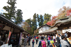 高尾山 2017