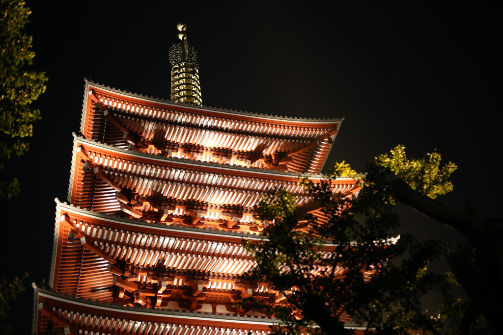 夜の浅草寺