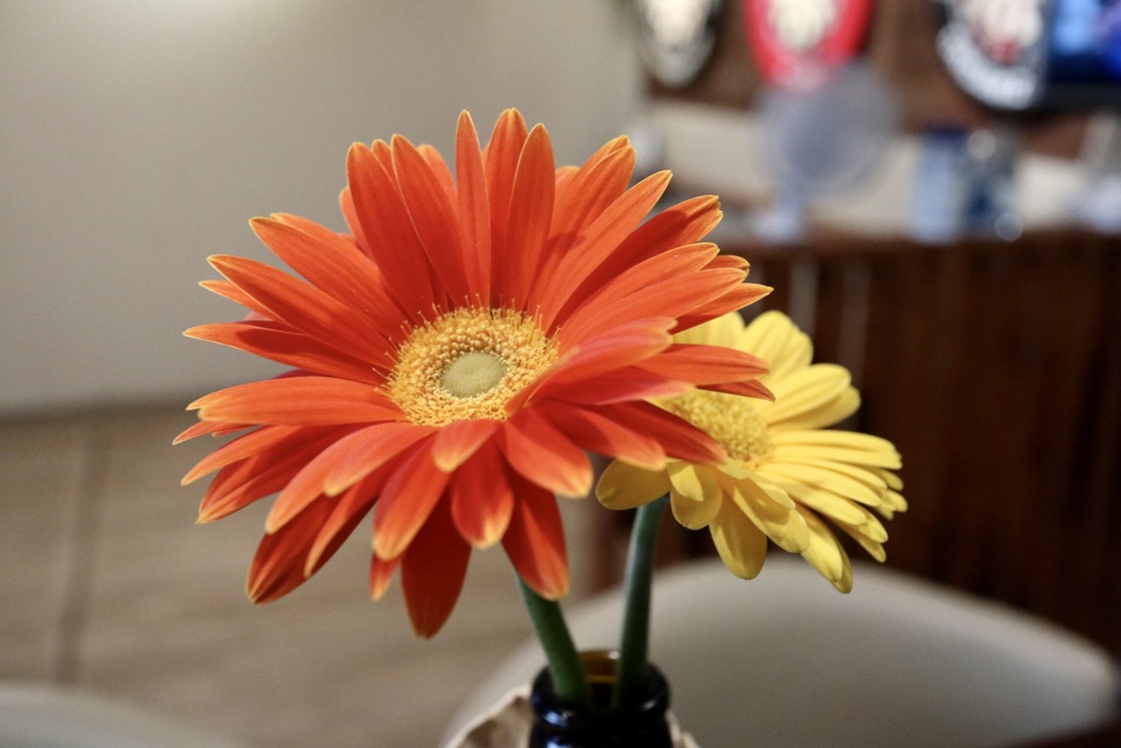 ファーストショット