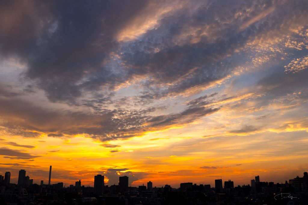 東京の夕焼け