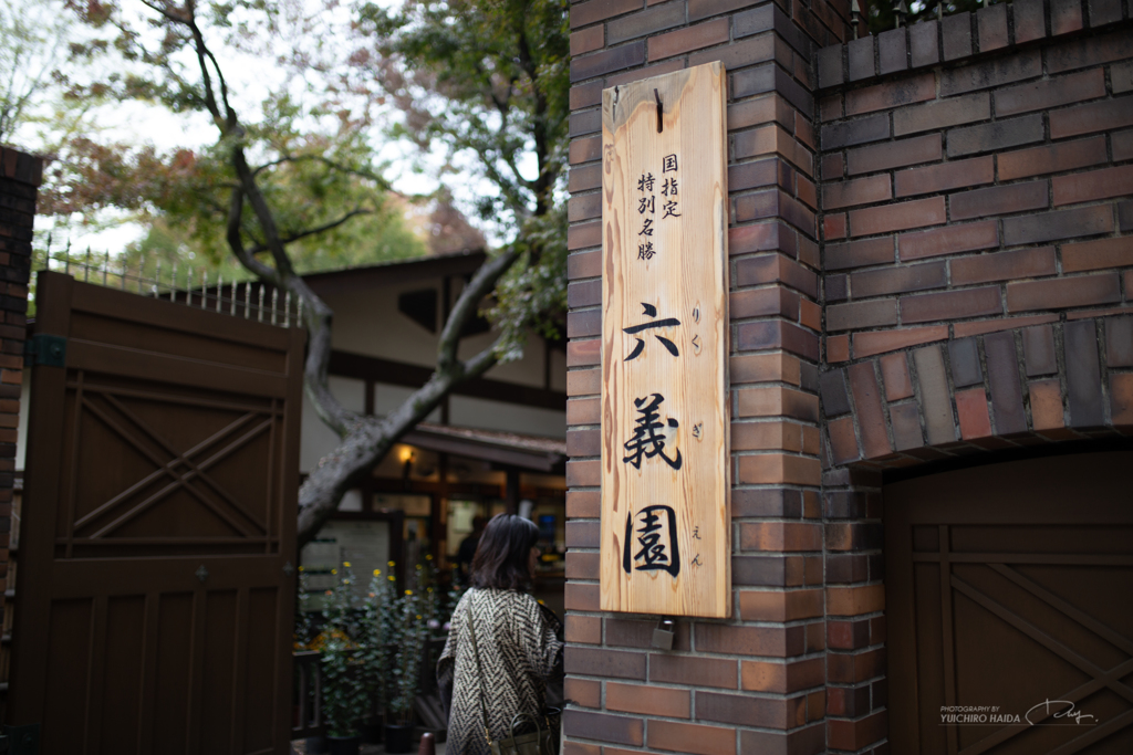 六義園 紅葉カメラ