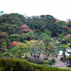 六義園 紅葉カメラ