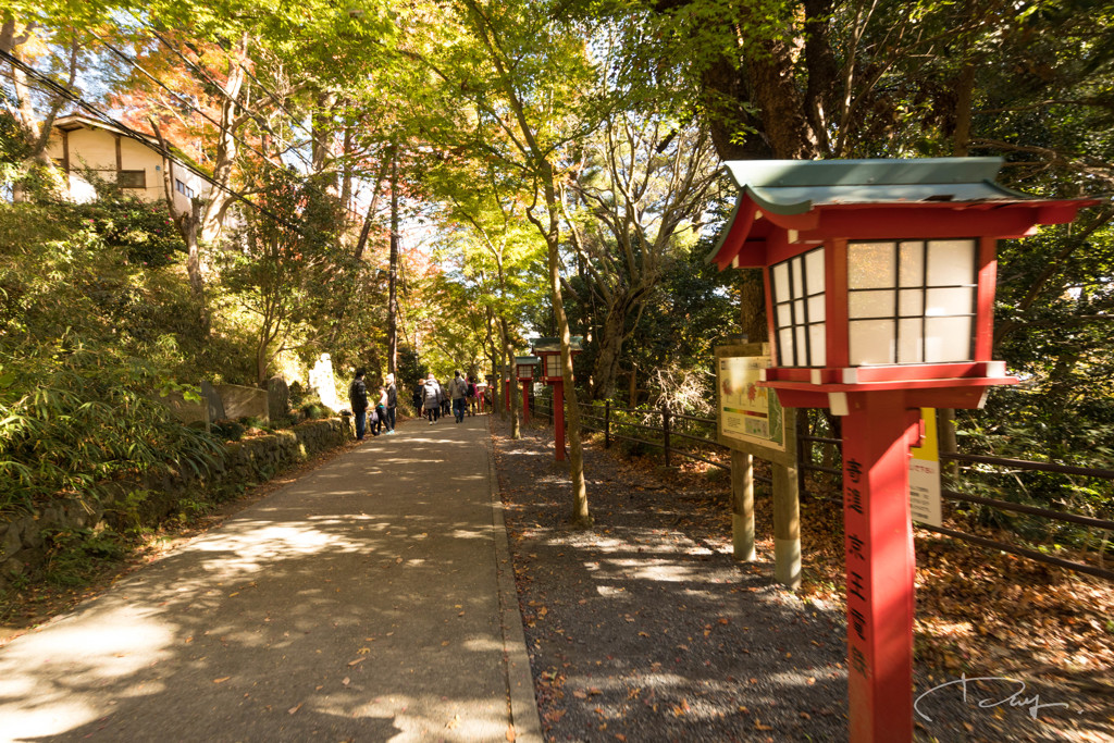 高尾山 2017