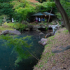 六義園 紅葉カメラ