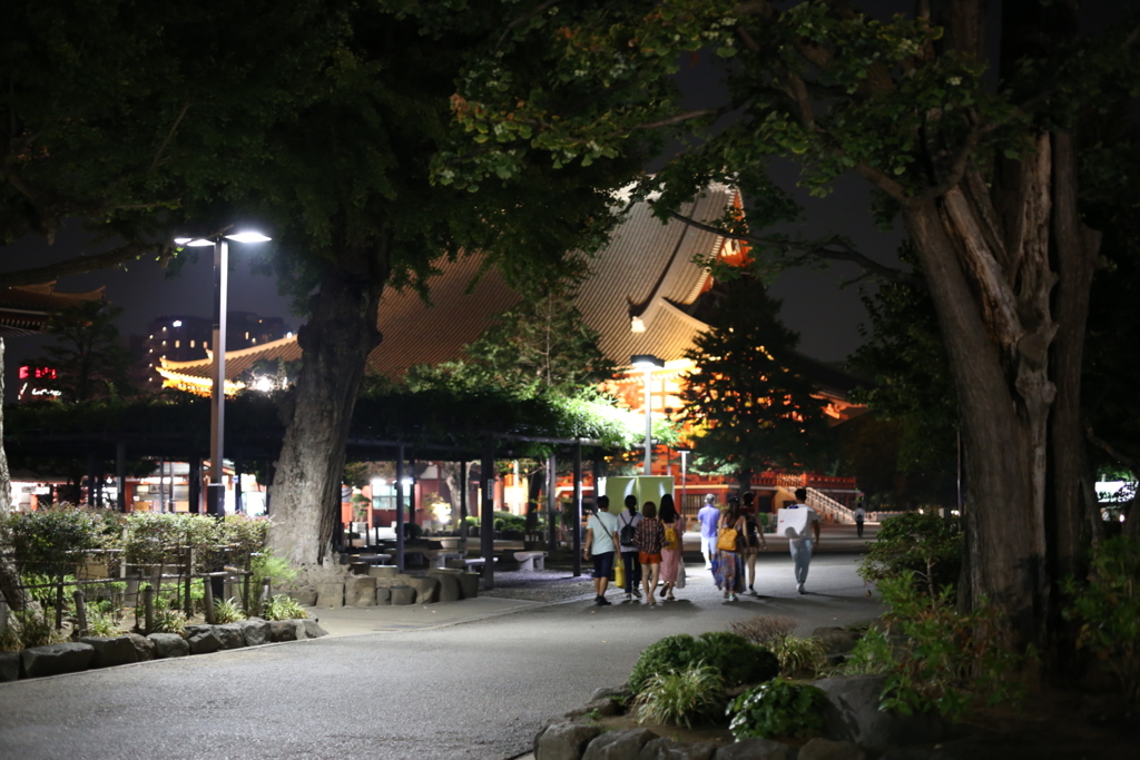 夜の浅草寺