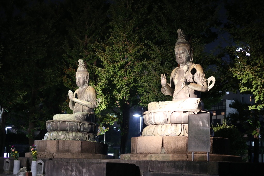 夜の浅草寺