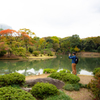 六義園 紅葉カメラ