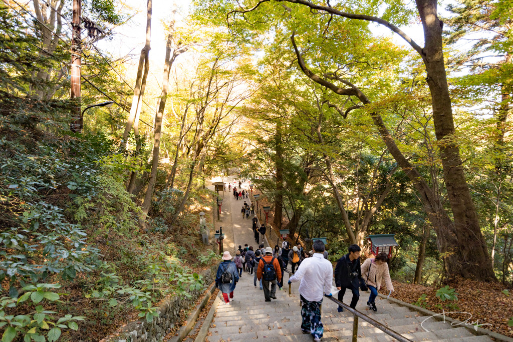 高尾山 2017