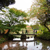 六義園 紅葉カメラ