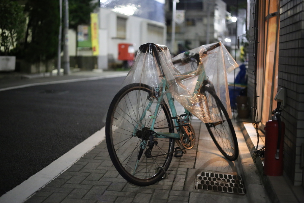 カールツァイスで撮る