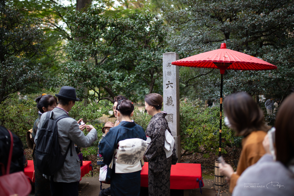 六義園 紅葉カメラ