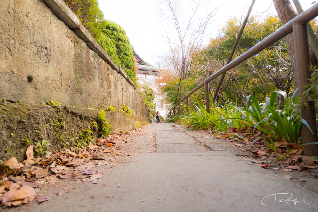 高尾山 2017