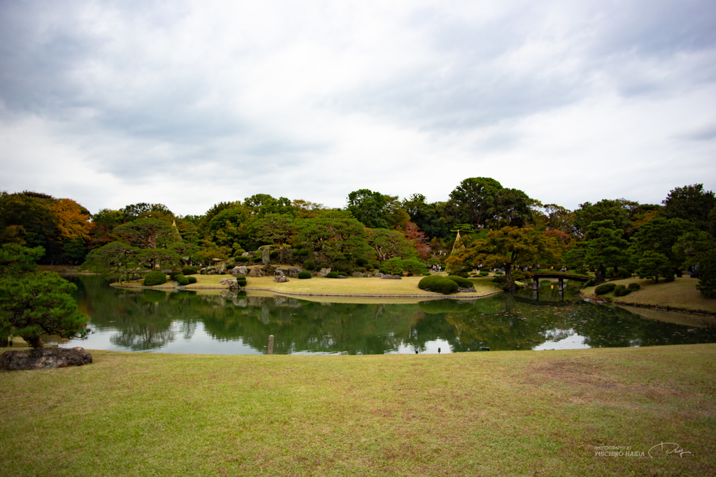 六義園 紅葉カメラ