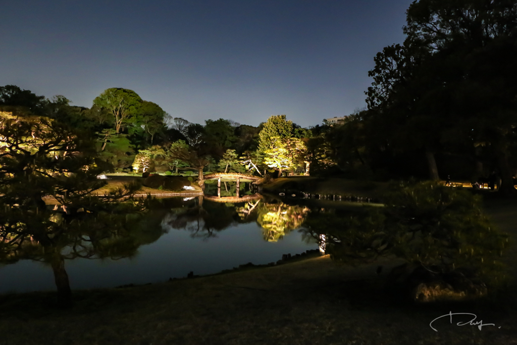 六義園 ライトアップ